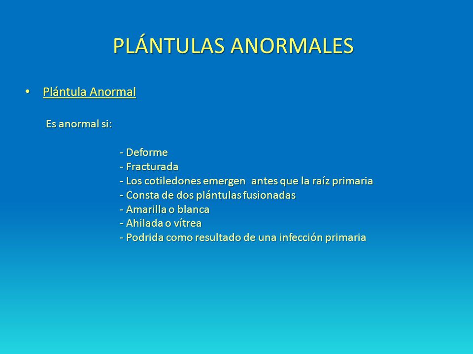 PLÁNTULAS ANORMALES Plántula Anormal Es anormal si: - Deforme
