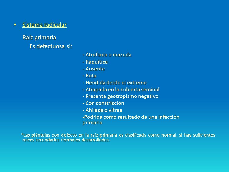 Raíz primaria - Atrofiada o mazuda Sistema radicular Es defectuosa si: