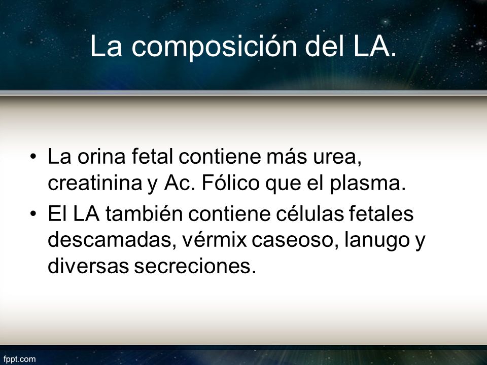 La composición del LA. La orina fetal contiene más urea, creatinina y Ac. Fólico que el plasma.