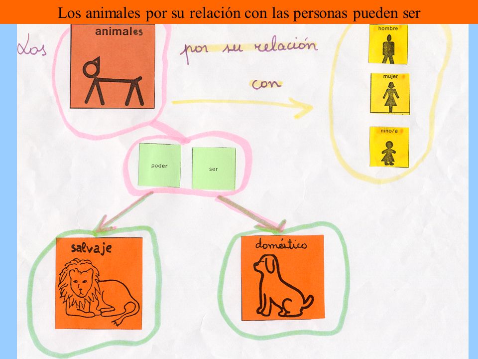 Los animales por su relación con las personas pueden ser