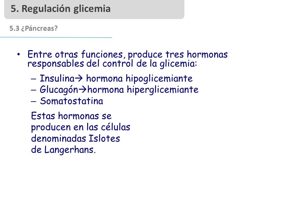 5. Regulación glicemia 5.3 ¿Páncreas Entre otras funciones, produce tres hormonas responsables del control de la glicemia: