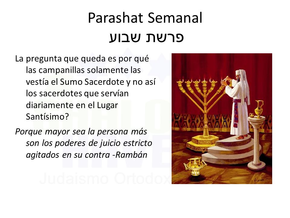 Parashat Semanal פרשת שבוע