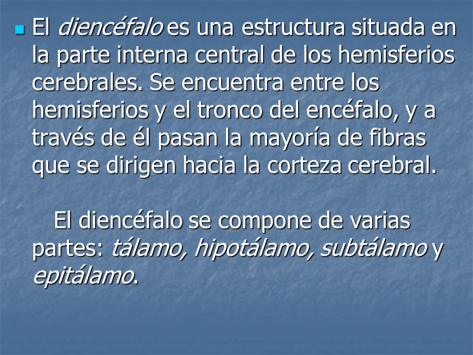 El diencéfalo es una estructura situada en la parte interna central de los hemisferios cerebrales.