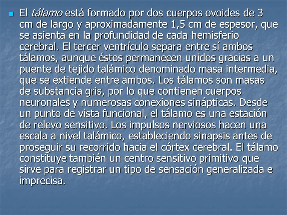 El tálamo está formado por dos cuerpos ovoides de 3 cm de largo y aproximadamente 1,5 cm de espesor, que se asienta en la profundidad de cada hemisferio cerebral.