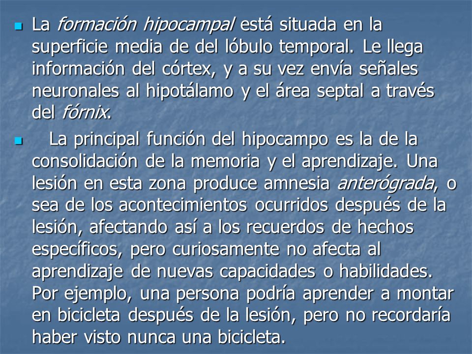 La formación hipocampal está situada en la superficie media de del lóbulo temporal. Le llega información del córtex, y a su vez envía señales neuronales al hipotálamo y el área septal a través del fórnix.