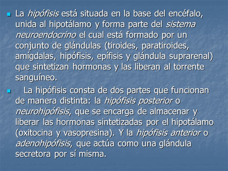 La hipófisis está situada en la base del encéfalo, unida al hipotálamo y forma parte del sistema neuroendocrino el cual está formado por un conjunto de glándulas (tiroides, paratiroides, amígdalas, hipófisis, epífisis y glándula suprarenal) que sintetizan hormonas y las liberan al torrente sanguíneo.