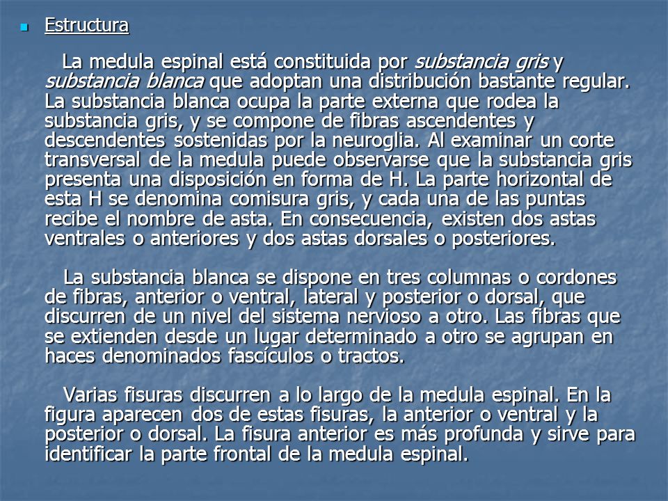 Estructura La medula espinal está constituida por substancia gris y substancia blanca que adoptan una distribución bastante regular.