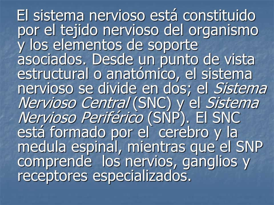 El sistema nervioso está constituido por el tejido nervioso del organismo y los elementos de soporte asociados.