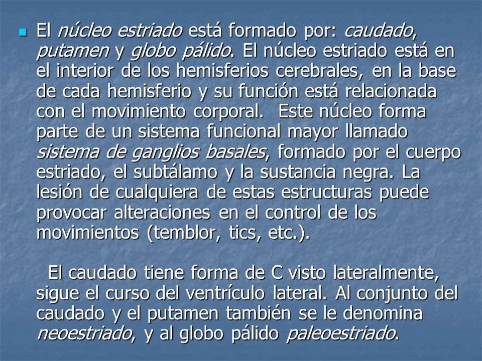 El núcleo estriado está formado por: caudado, putamen y globo pálido