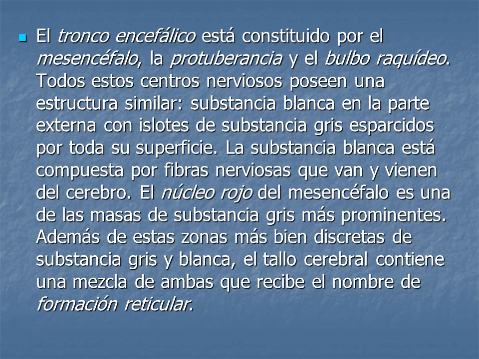 El tronco encefálico está constituido por el mesencéfalo, la protuberancia y el bulbo raquídeo.