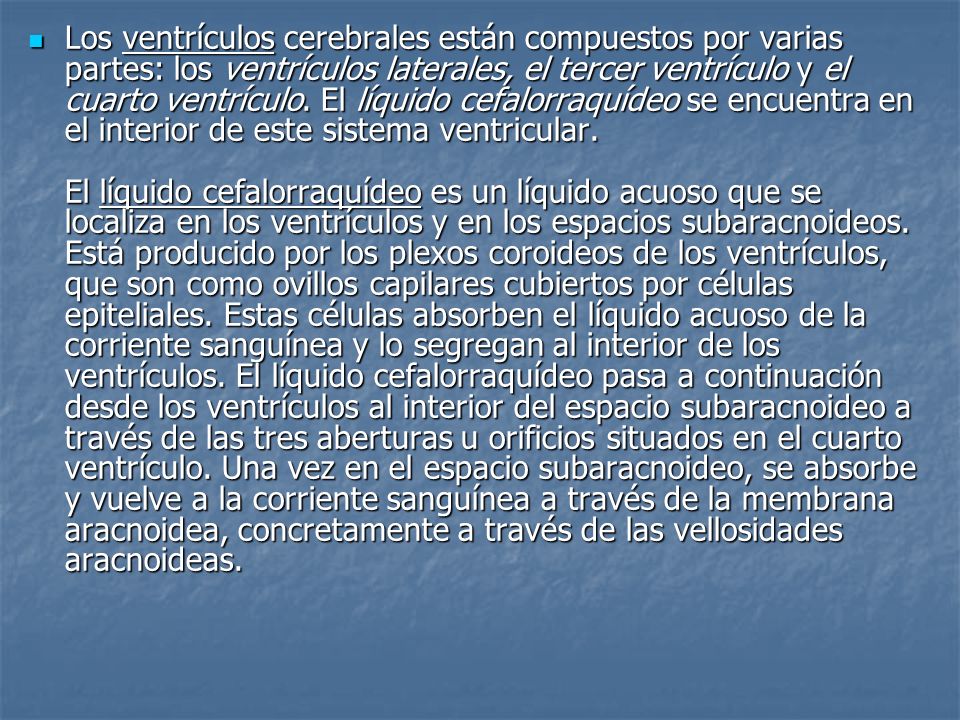 Los ventrículos cerebrales están compuestos por varias partes: los ventrículos laterales, el tercer ventrículo y el cuarto ventrículo.