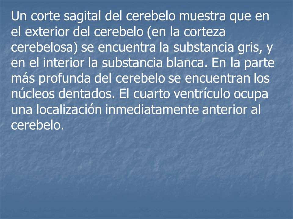 Un corte sagital del cerebelo muestra que en