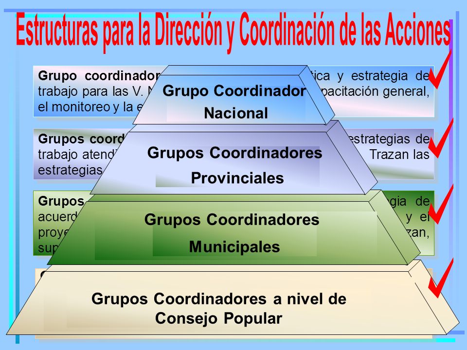Estructuras para la Dirección y Coordinación de las Acciones