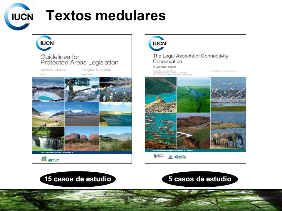 Textos medulares 15 casos de estudio 5 casos de estudio