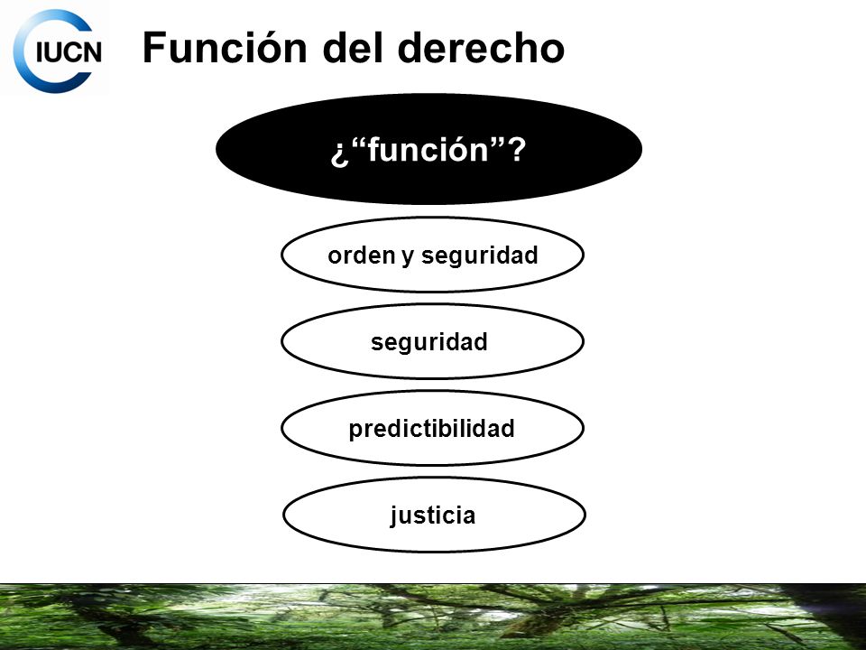 Función del derecho ¿ función orden y seguridad seguridad