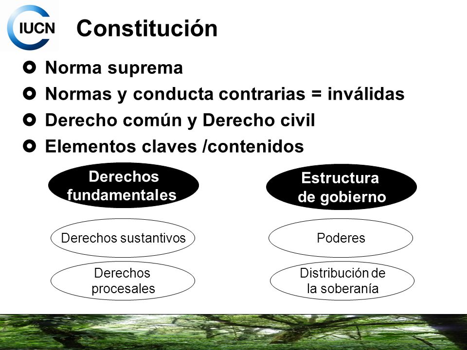 Constitución Norma suprema Normas y conducta contrarias = inválidas