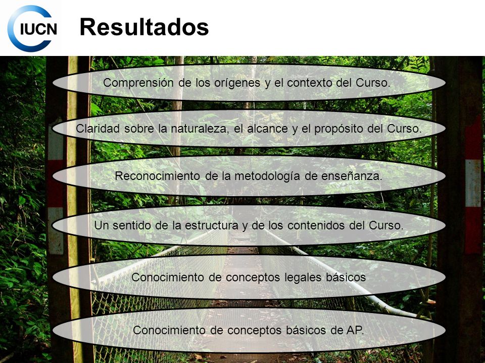 Resultados Comprensión de los orígenes y el contexto del Curso.
