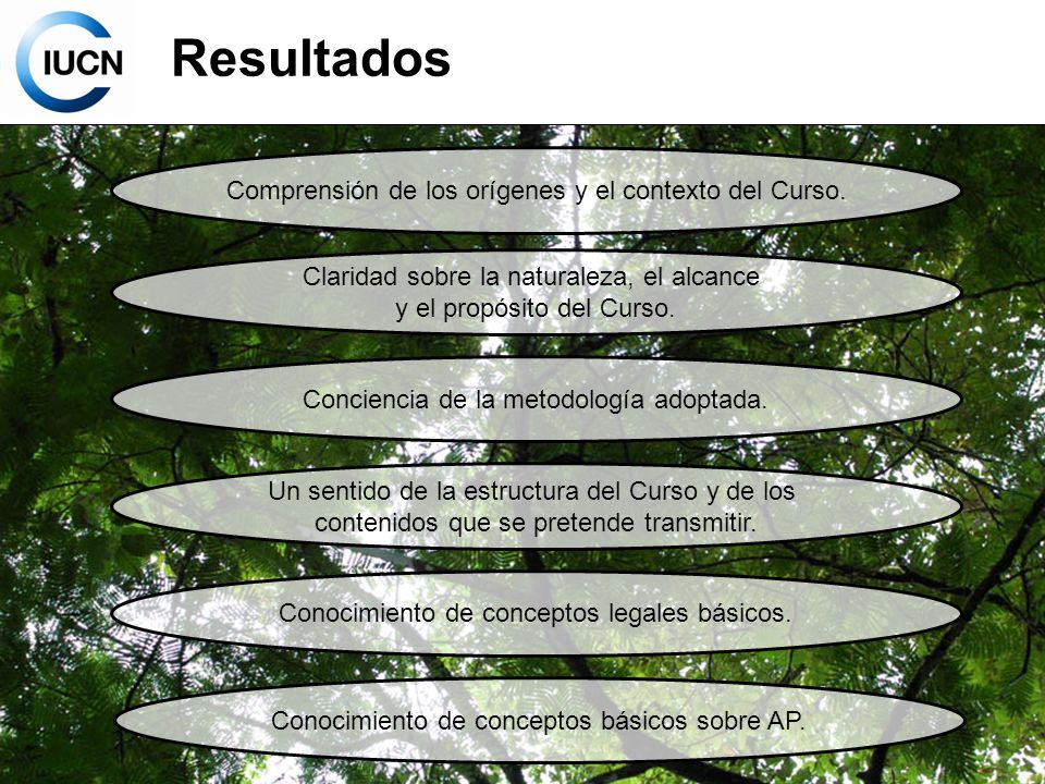 Resultados Comprensión de los orígenes y el contexto del Curso.