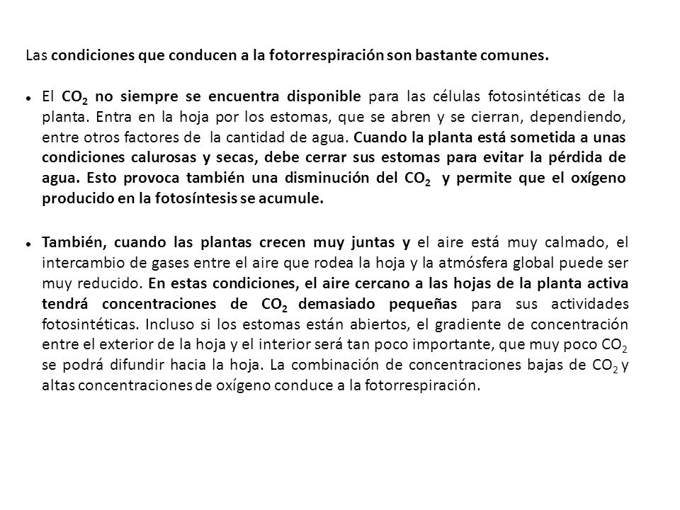 Las condiciones que conducen a la fotorrespiración son bastante comunes.