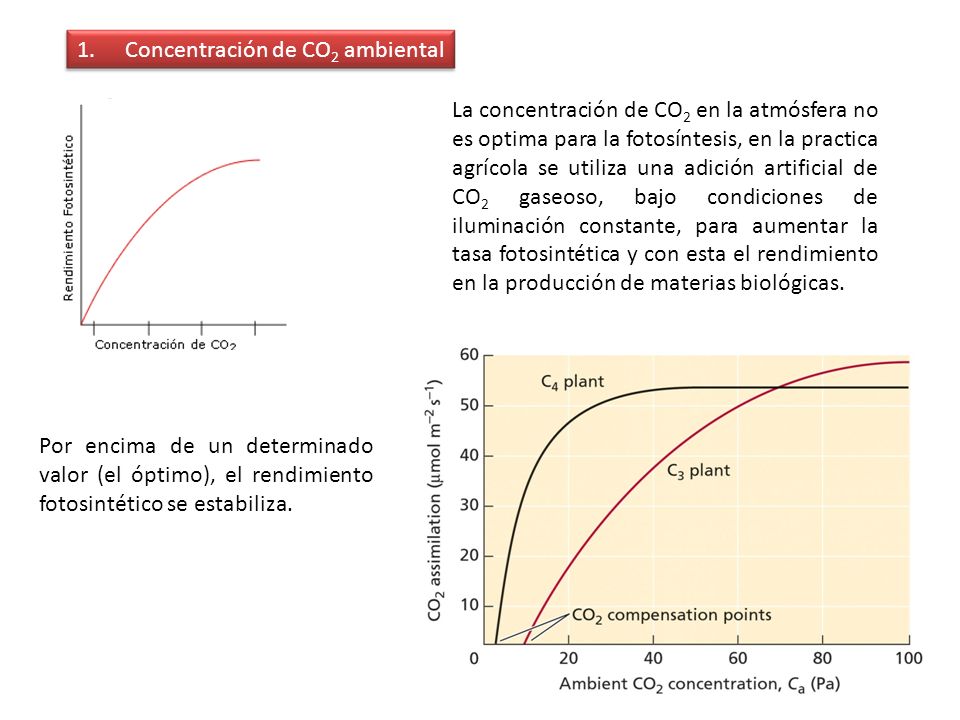 Concentración de CO2 ambiental