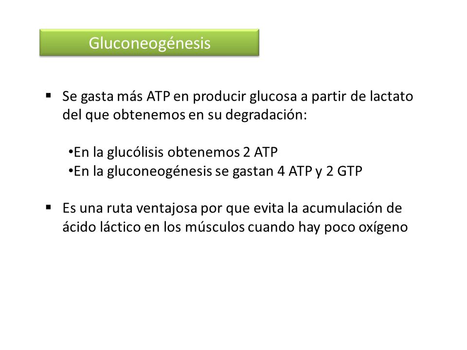 Gluconeogénesis Se gasta más ATP en producir glucosa a partir de lactato del que obtenemos en su degradación: