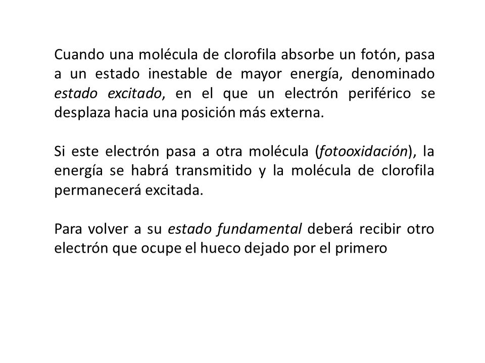 Cuando una molécula de clorofila absorbe un fotón, pasa a un estado inestable de mayor energía, denominado estado excitado, en el que un electrón periférico se desplaza hacia una posición más externa.