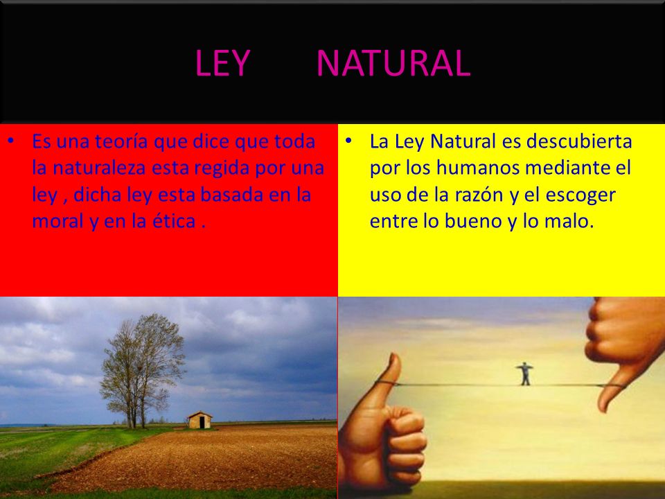 LEY NATURAL Es una teoría que dice que toda la naturaleza esta regida por una ley , dicha ley esta basada en la moral y en la ética .