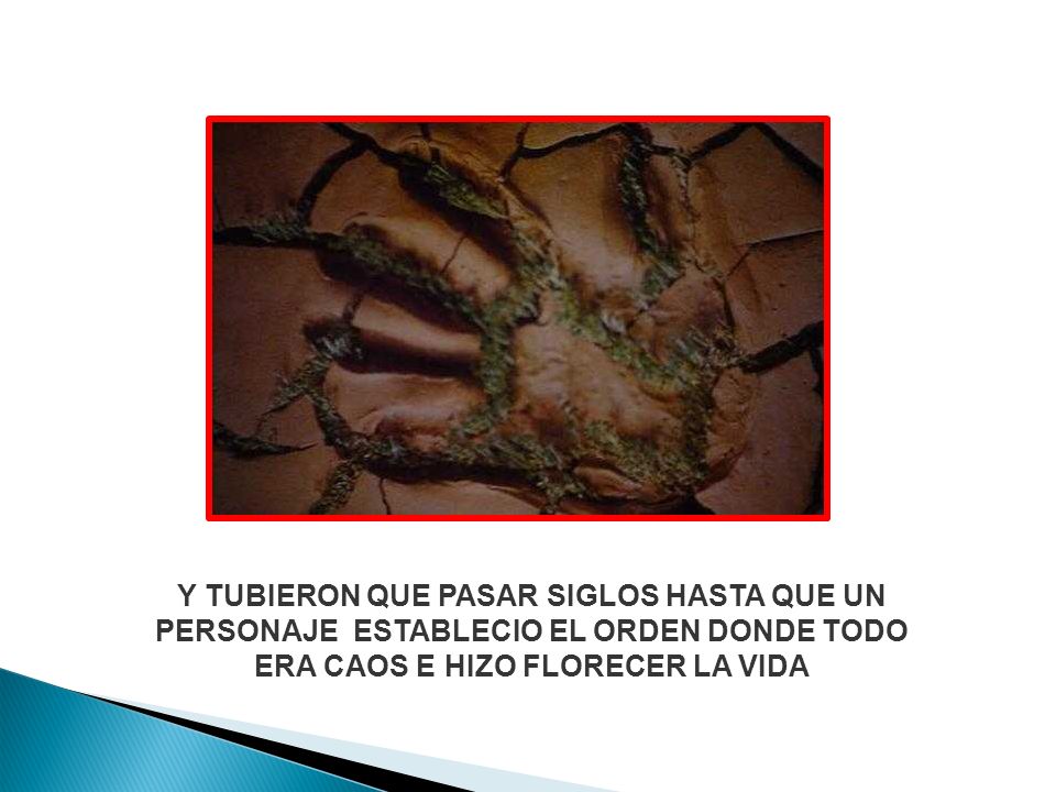 Y TUBIERON QUE PASAR SIGLOS HASTA QUE UN PERSONAJE ESTABLECIO EL ORDEN DONDE TODO ERA CAOS E HIZO FLORECER LA VIDA