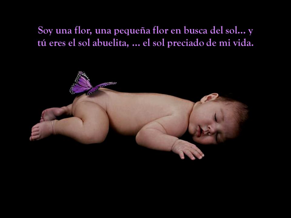 Soy una flor, una pequeña flor en busca del sol… y tú eres el sol abuelita, … el sol preciado de mi vida.