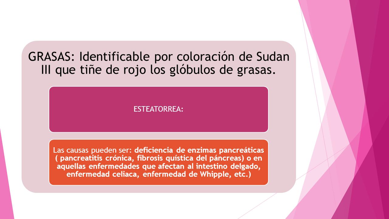 GRASAS: Identificable por coloración de Sudan III que tiñe de rojo los glóbulos de grasas.