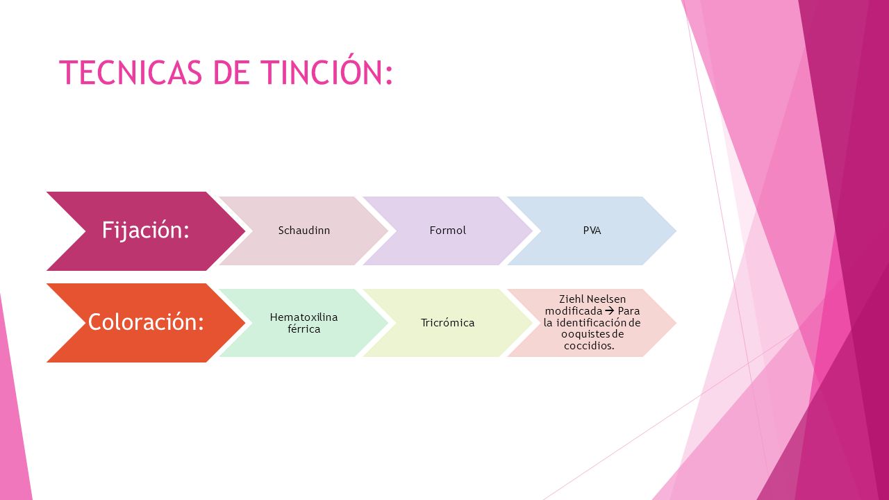 TECNICAS DE TINCIÓN: Fijación: Coloración: Schaudinn Formol PVA