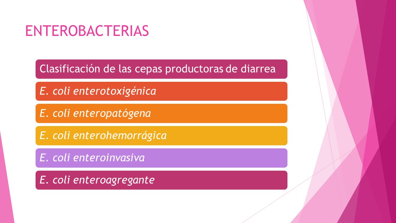 ENTEROBACTERIAS Clasificación de las cepas productoras de diarrea
