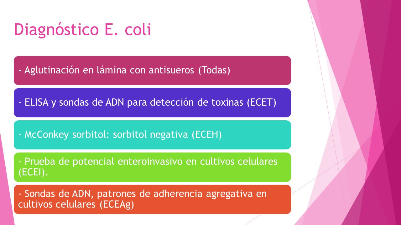 Diagnóstico E. coli - Aglutinación en lámina con antisueros (Todas)
