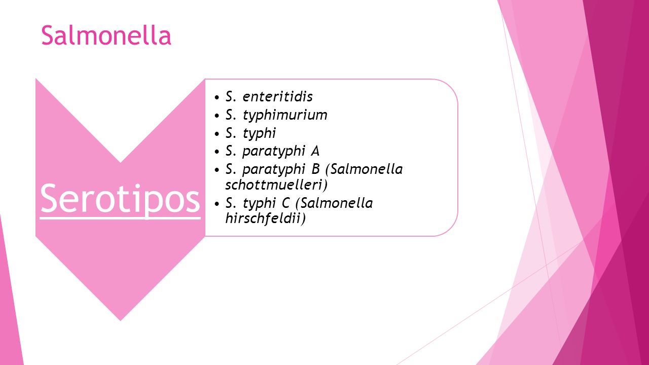 Serotipos Salmonella S. enteritidis S. typhimurium S. typhi