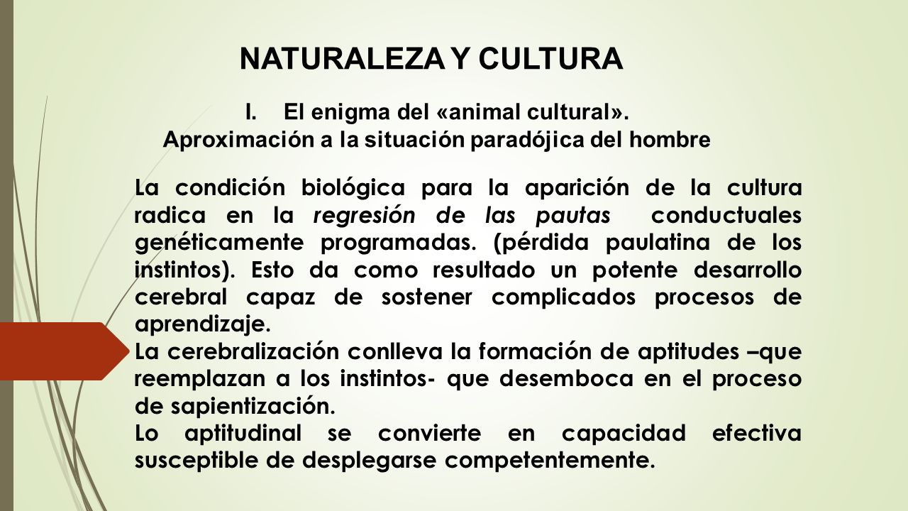 NATURALEZA Y CULTURA El enigma del «animal cultural».