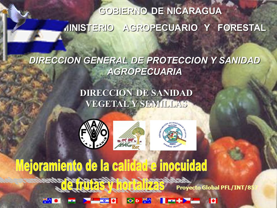 Mejoramiento de la calidad e inocuidad de frutas y hortalizas