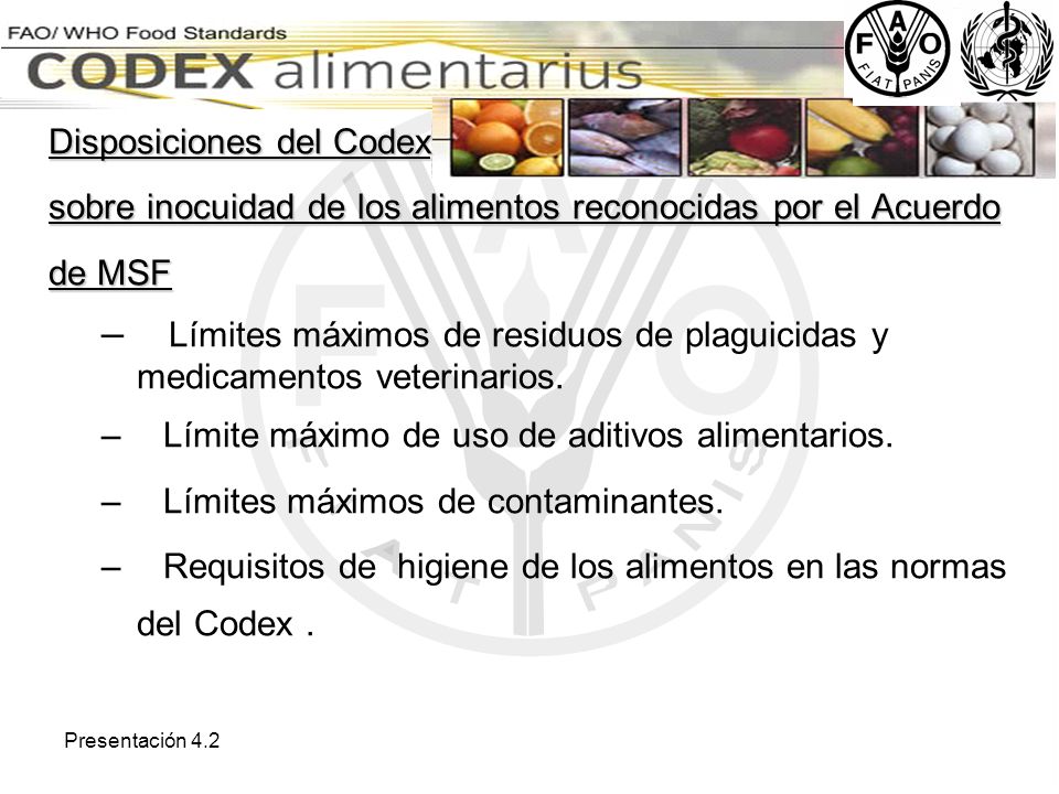 Disposiciones del Codex