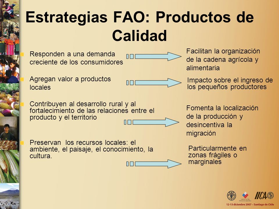 Estrategias FAO: Productos de Calidad
