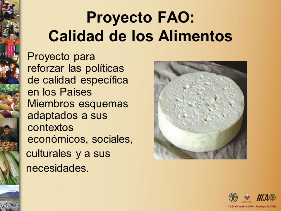 Proyecto FAO: Calidad de los Alimentos