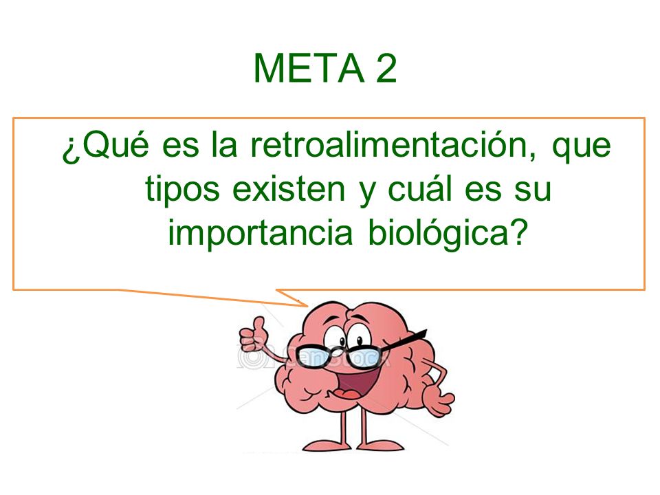 META 2 ¿Qué es la retroalimentación, que tipos existen y cuál es su importancia biológica