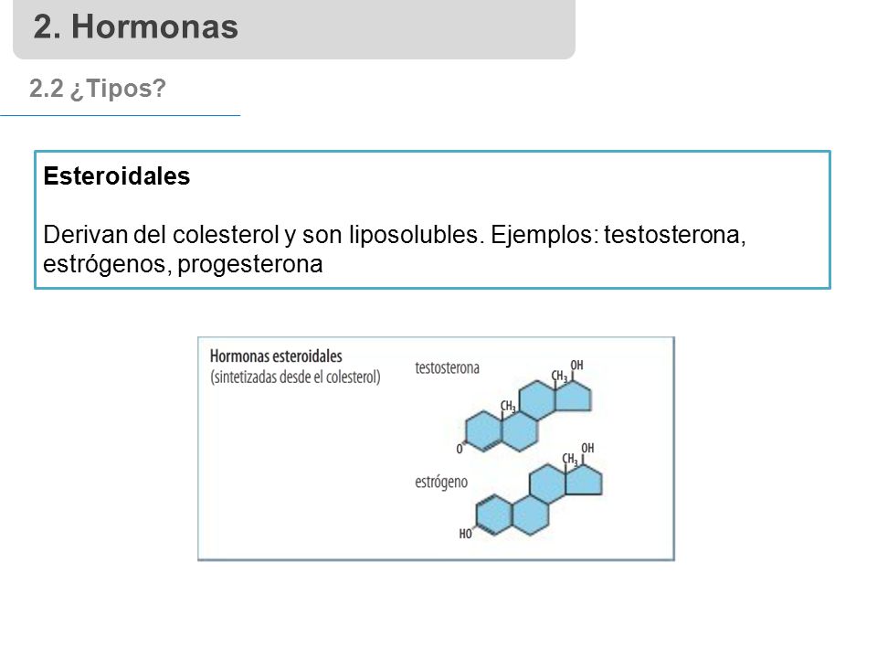 2. Hormonas 2.2 ¿Tipos Esteroidales