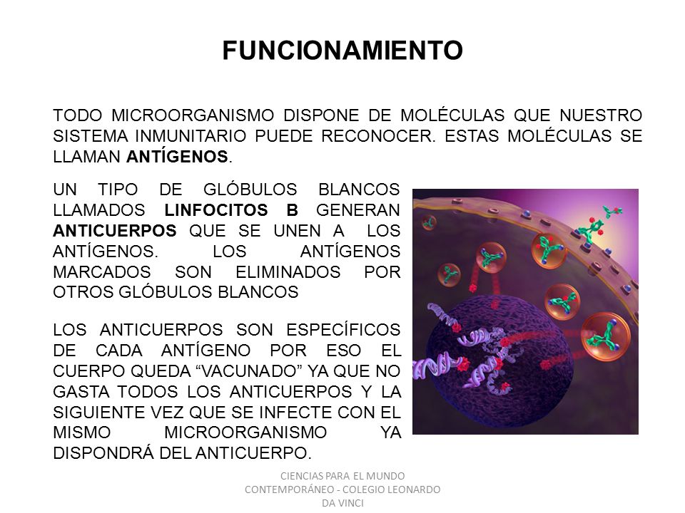 CIENCIAS PARA EL MUNDO CONTEMPORÁNEO - COLEGIO LEONARDO DA VINCI