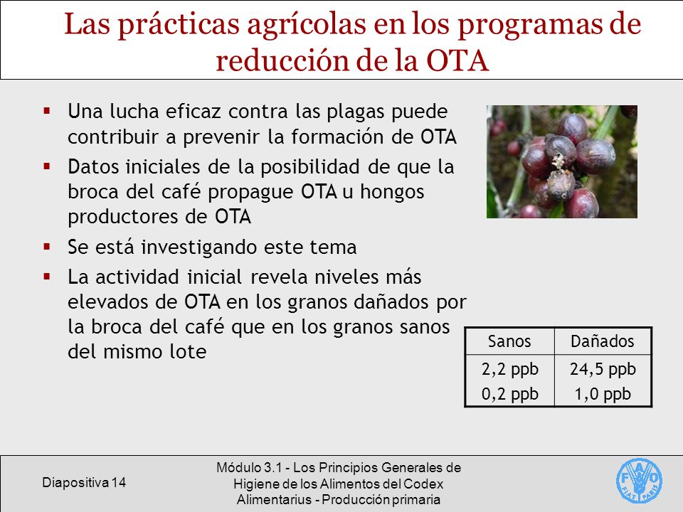 Las prácticas agrícolas en los programas de reducción de la OTA