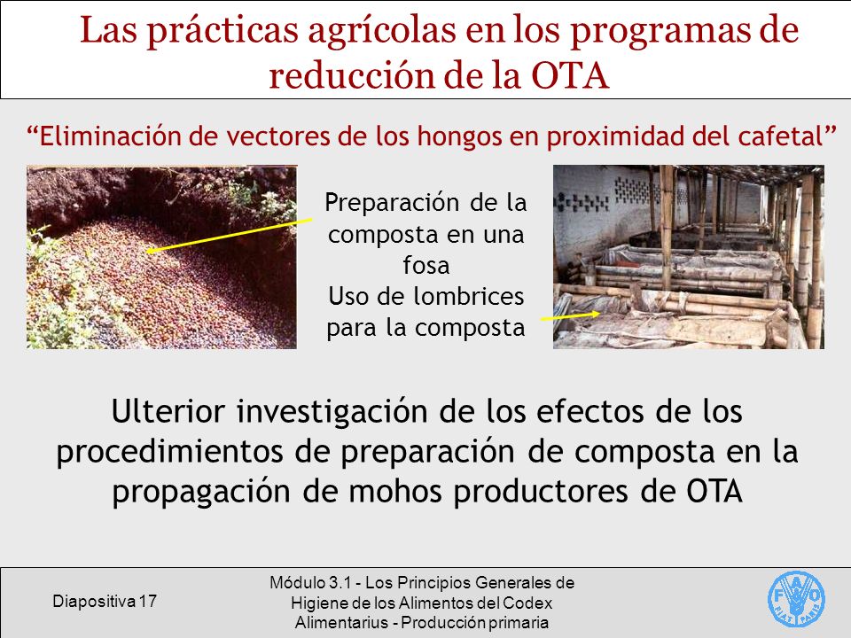 Las prácticas agrícolas en los programas de reducción de la OTA