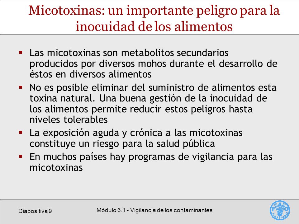 Micotoxinas: un importante peligro para la inocuidad de los alimentos