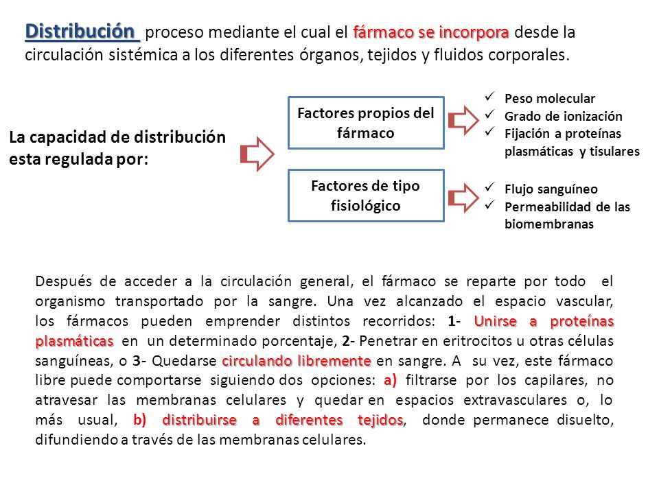 Factores propios del fármaco Factores de tipo fisiológico