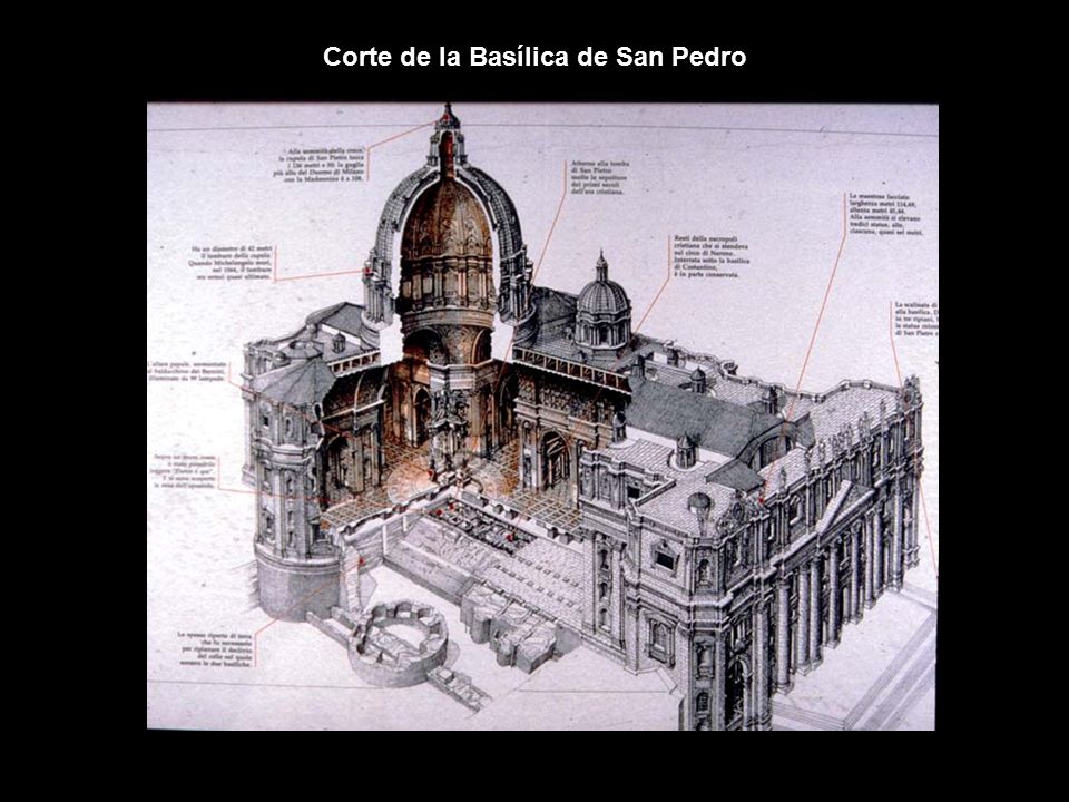 Corte de la Basílica de San Pedro