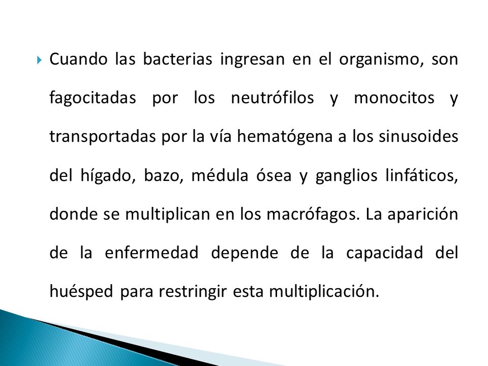 Cuando las bacterias ingresan en el organismo, son fagocitadas por los neutrófilos y monocitos y transportadas por la vía hematógena a los sinusoides del hígado, bazo, médula ósea y ganglios linfáticos, donde se multiplican en los macrófagos.