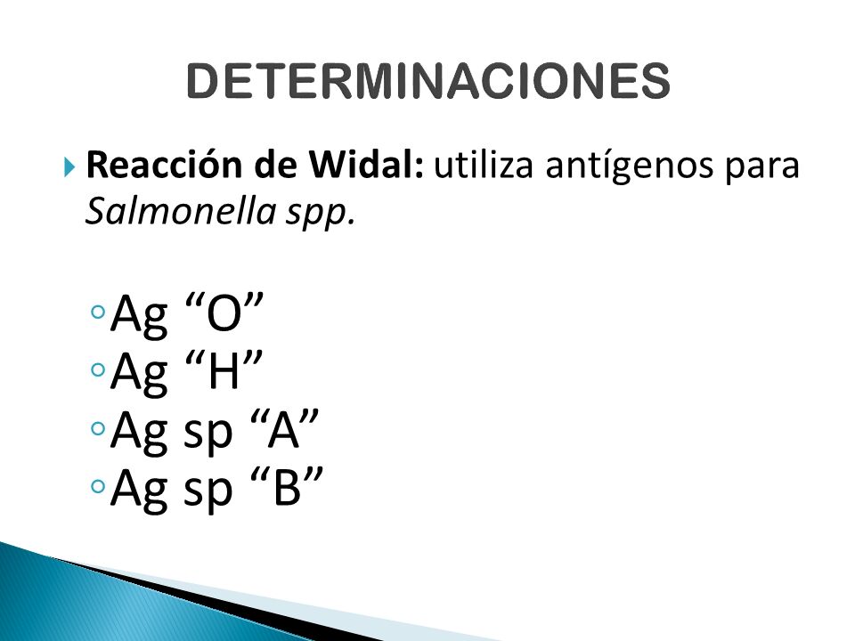 Ag O Ag H Ag sp A Ag sp B DETERMINACIONES