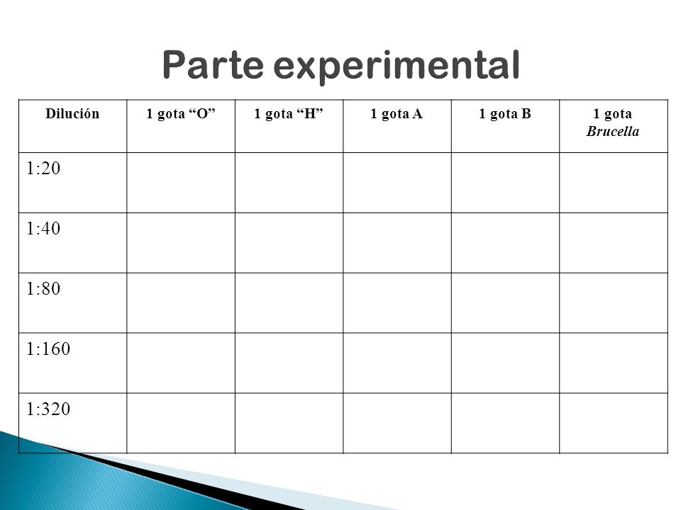 Parte experimental 1:20 1:40 1:80 1:160 1:320 Dilución 1 gota O